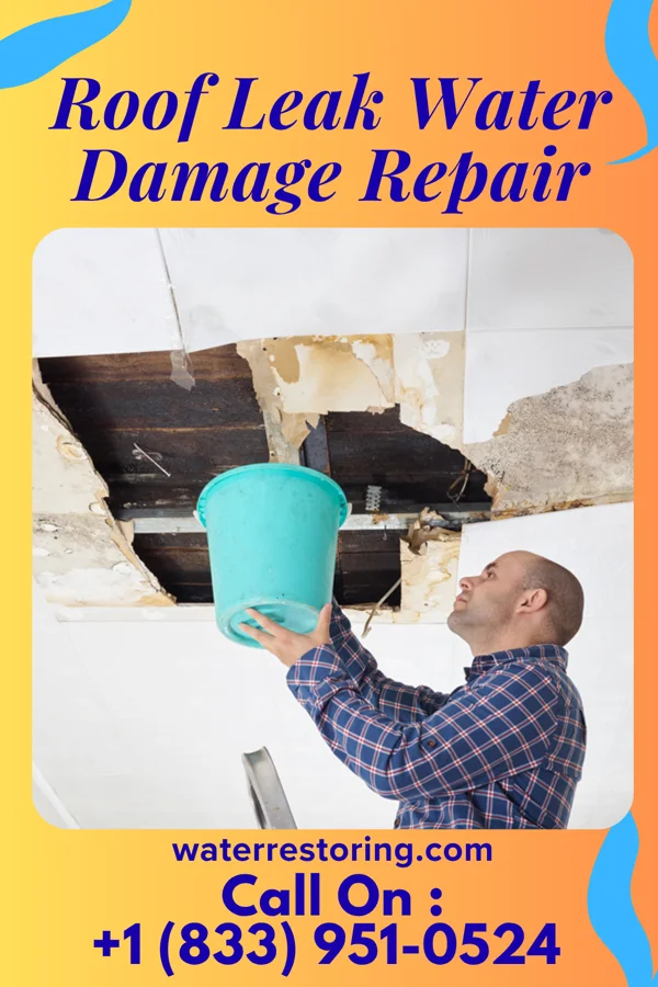 Roof Leak Water Damage Repair in Worthington, MN
