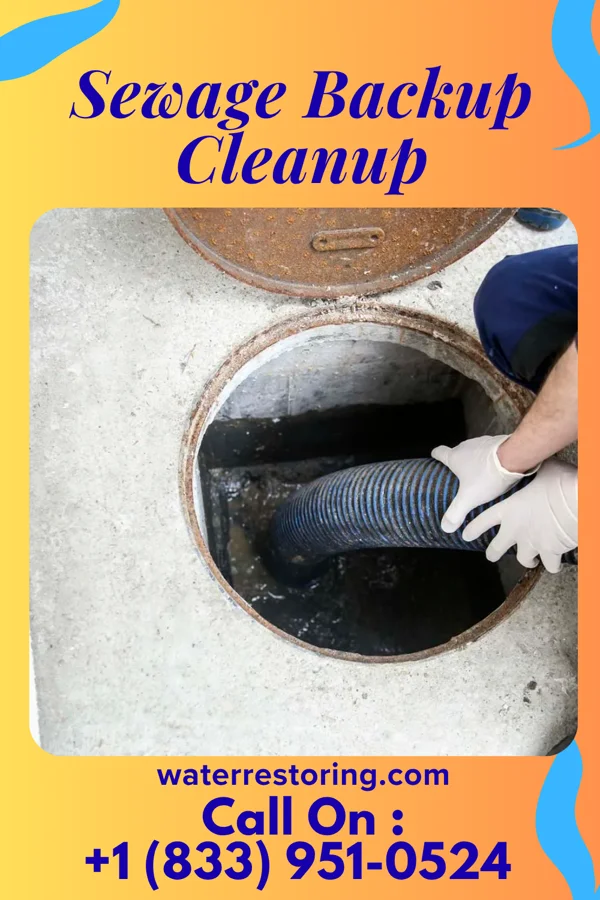 Sewage Backup Cleanup in Worthington, MN